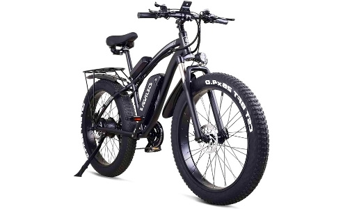 ECOTRIC Powerful Fat Tire Electric Bike