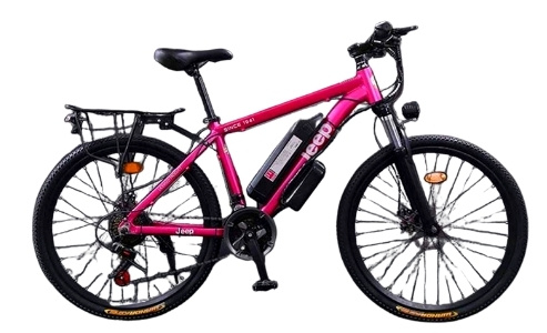 Erik Xian 1000W Electric Mountain Bike with Sports Suspension
